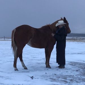 Meet your Posher, Cody